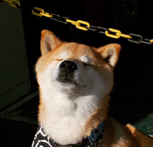 开云体育-球场与国界，当黄喜灿的统治级数据遇上地缘政治的阴影